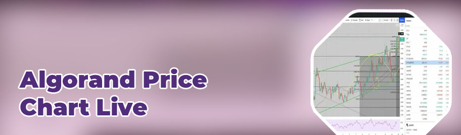 Algo crypto price