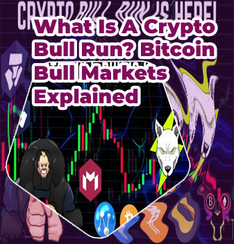 Crypto bull run