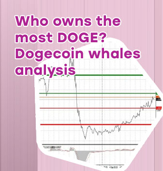 Dogecoin calculator usd