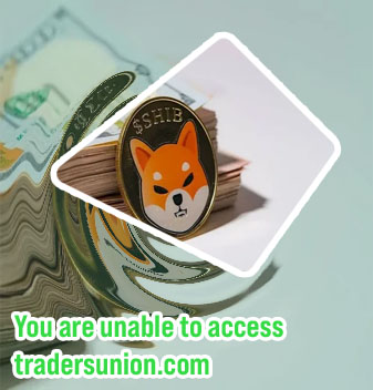 Where to buy shiba inu cryptocurrency