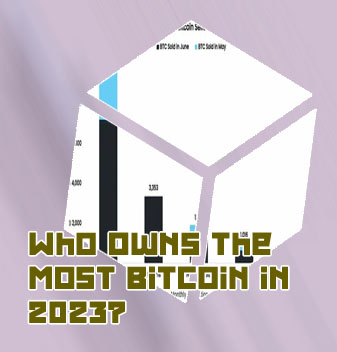 Who owns most of bitcoin